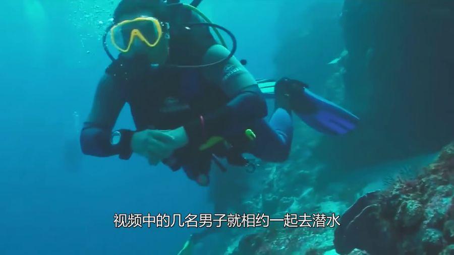 各类教改、课程思政、教学成果等申报书大全（2023年）